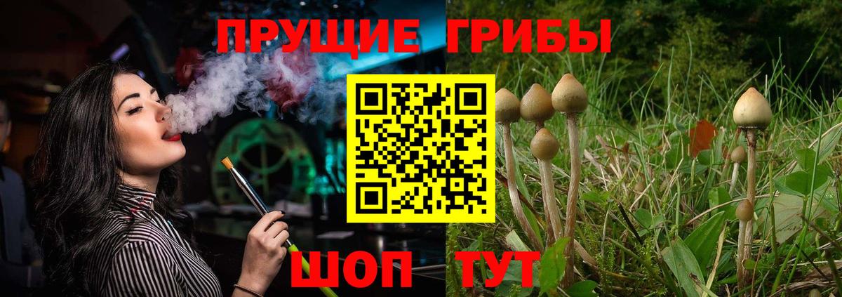 Галлюциногенные грибы прущие грибы Красный Сулин
