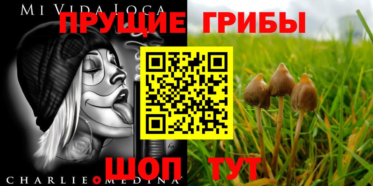 Галлюциногенные грибы MAGIC MUSHROOMS  Вход с VPN  Красный Сулин 